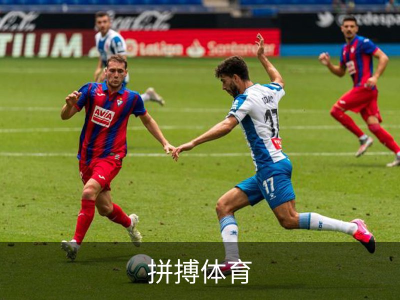 关于拼搏体育